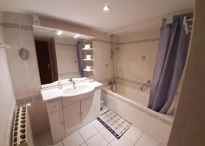 度假居 Familial Avec Jardin, Cheminee Et Equipements Bebe - Bellevigne, Charente - Fr-1-653-149 *